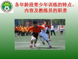 青少年训练的特点、内容