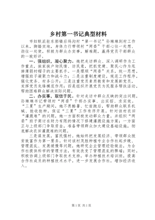 乡村第一书记典型材料