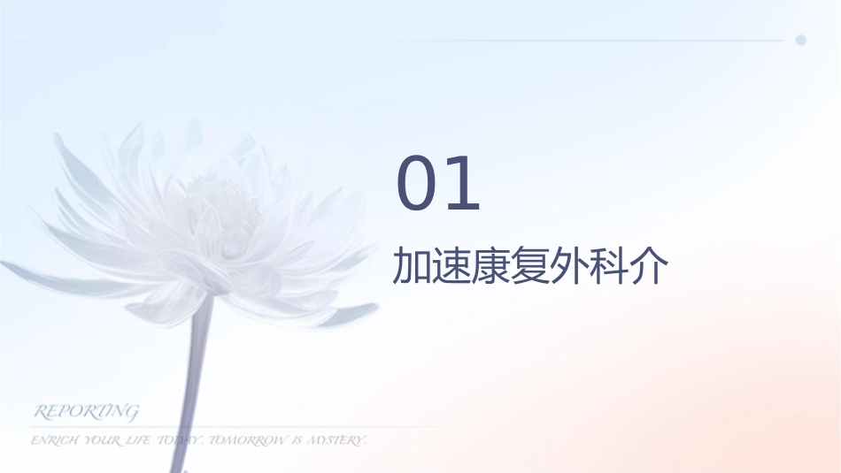 加速康复外科围术期营养支持护理课件_第3页