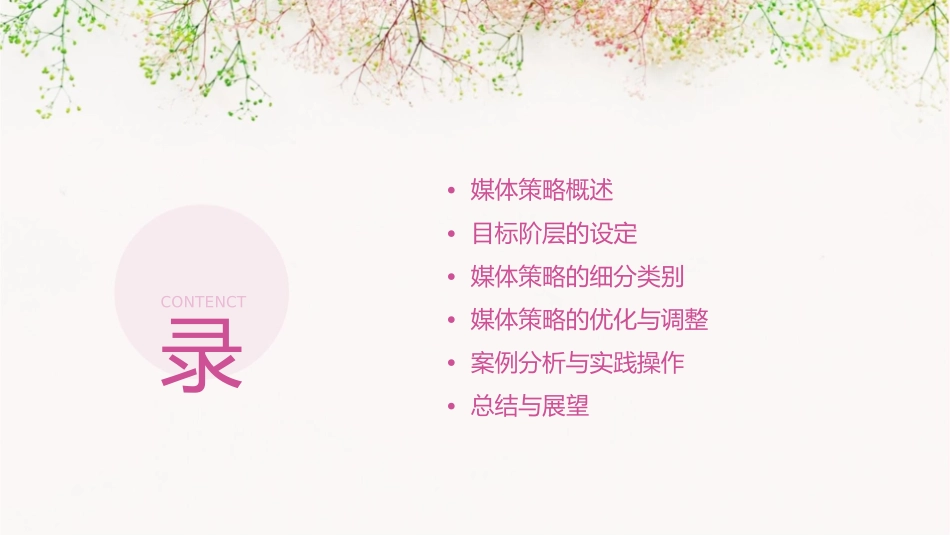 媒体策略目标阶层的设定课件_第2页