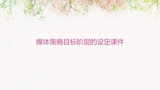 媒体策略目标阶层的设定课件