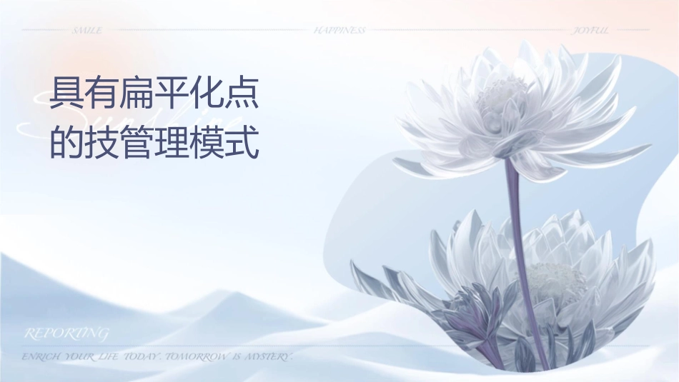 具有扁平化专业化特点的技术管理模式探讨课件_第1页