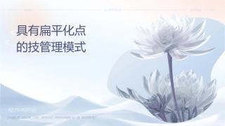 具有扁平化专业化特点的技术管理模式探讨课件