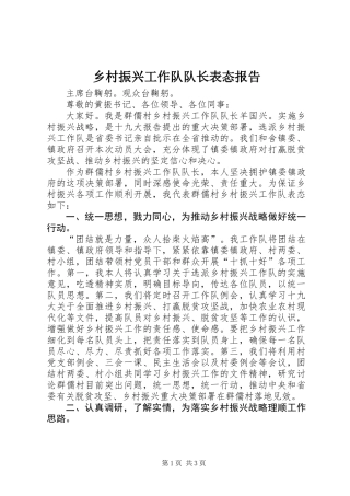 乡村振兴工作队队长表态报告