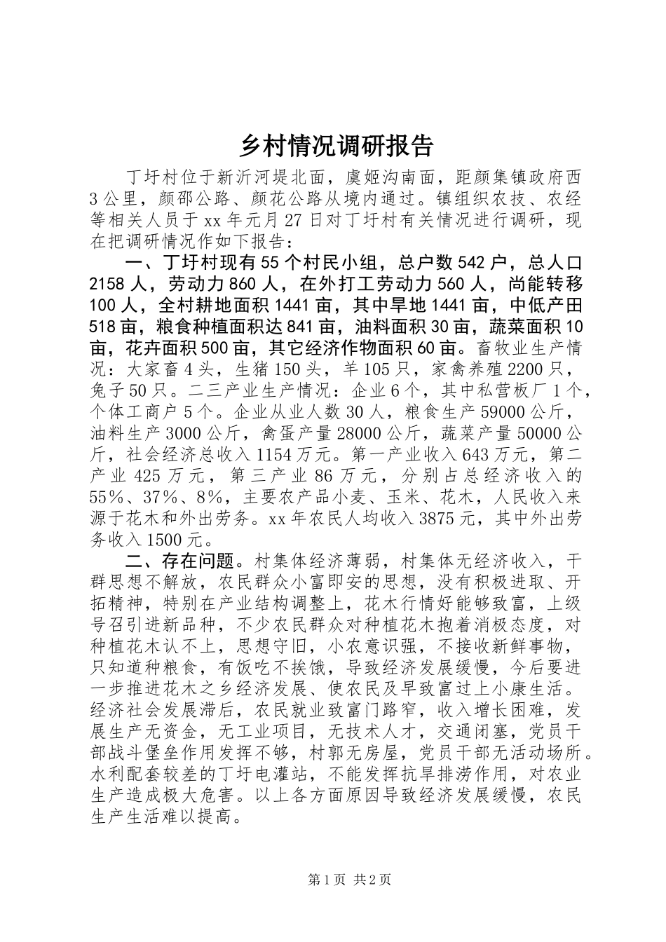乡村情况调研报告_1_第1页