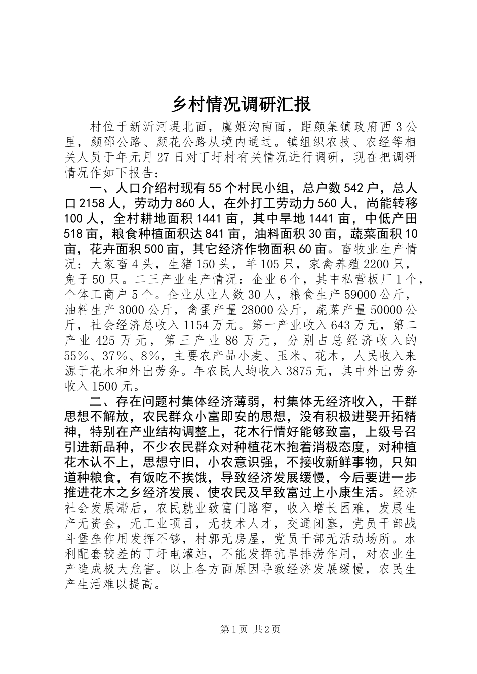 乡村情况调研汇报_第1页