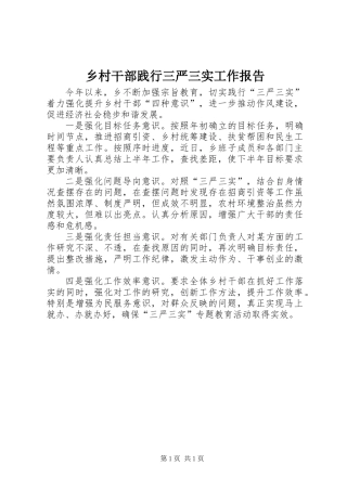 乡村干部践行三严三实工作报告