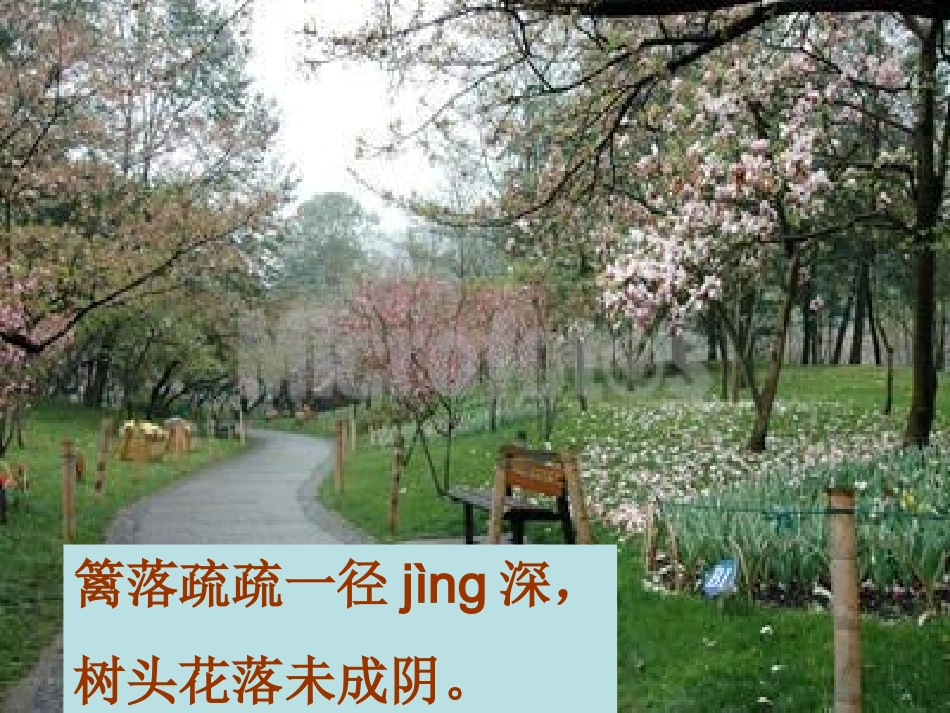 《咏柳》课件 (2)_第2页