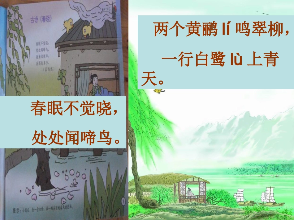 《咏柳》课件 (2)_第3页