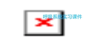 呼吸系统实习课件