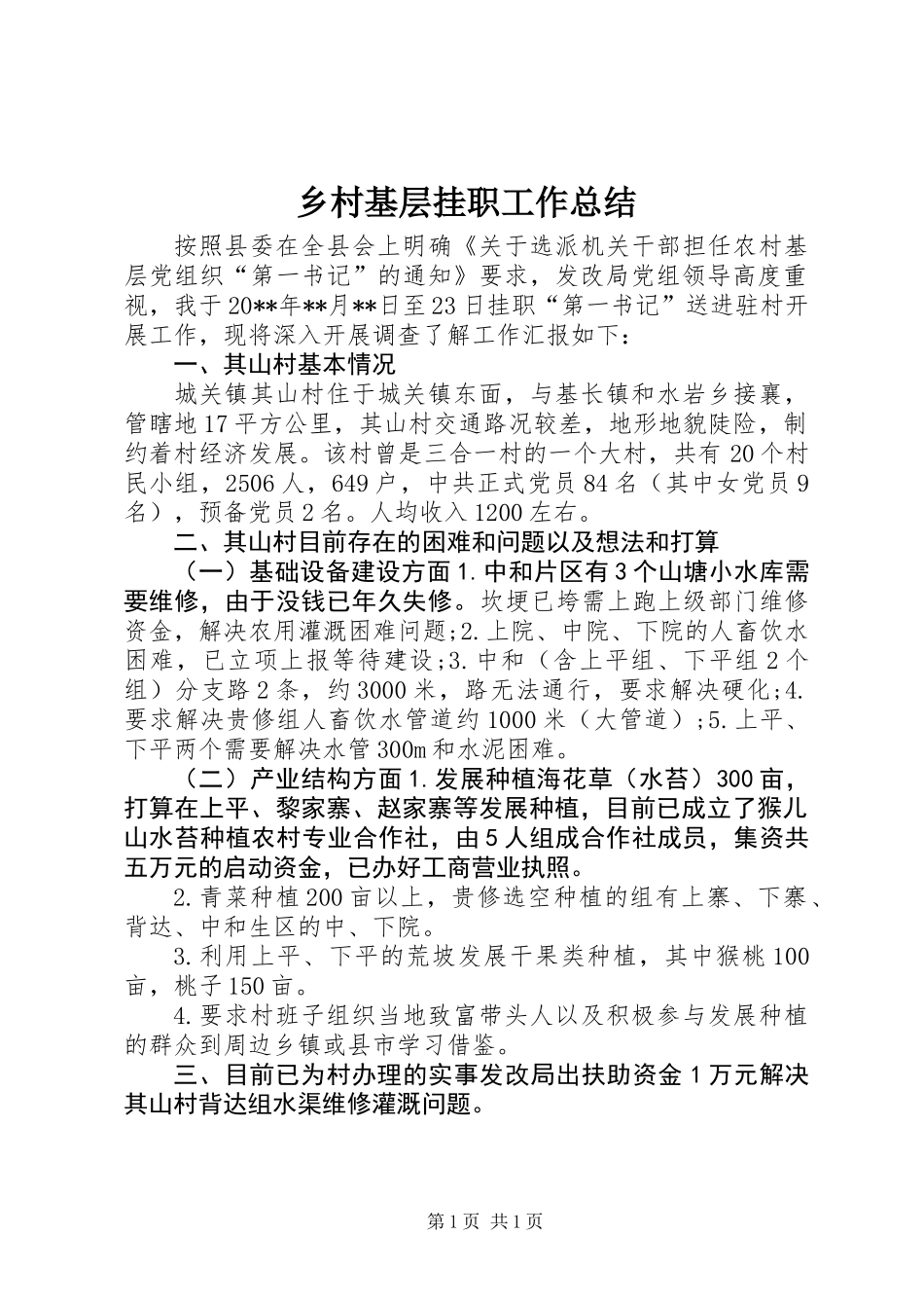 乡村基层挂职工作总结_第1页