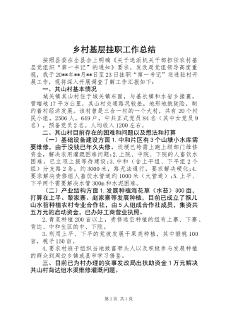 乡村基层挂职工作总结