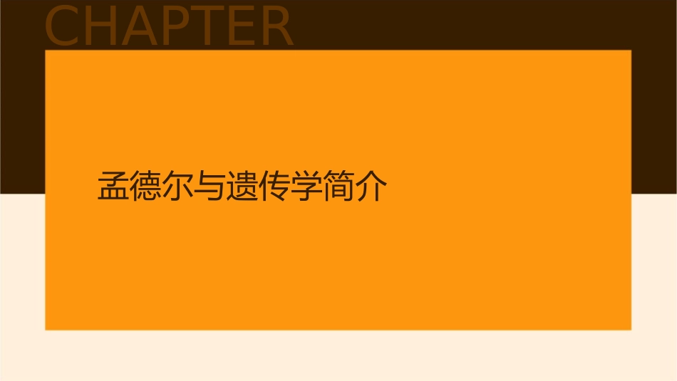 孟德尔遗传规律教学课件_第3页