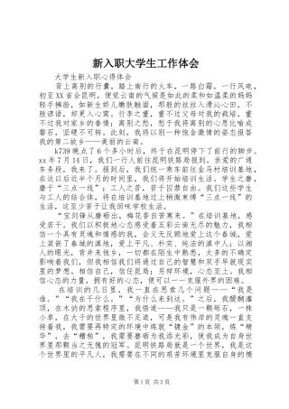 新入职大学生工作体会 