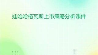 娃哈哈格瓦斯上市策略分析课件