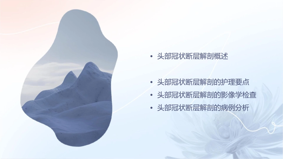 头部冠状断层解剖护理课件_第2页