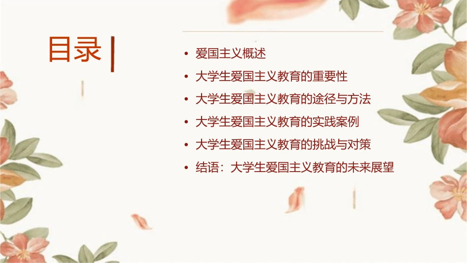 大学生爱国主义课件_第2页