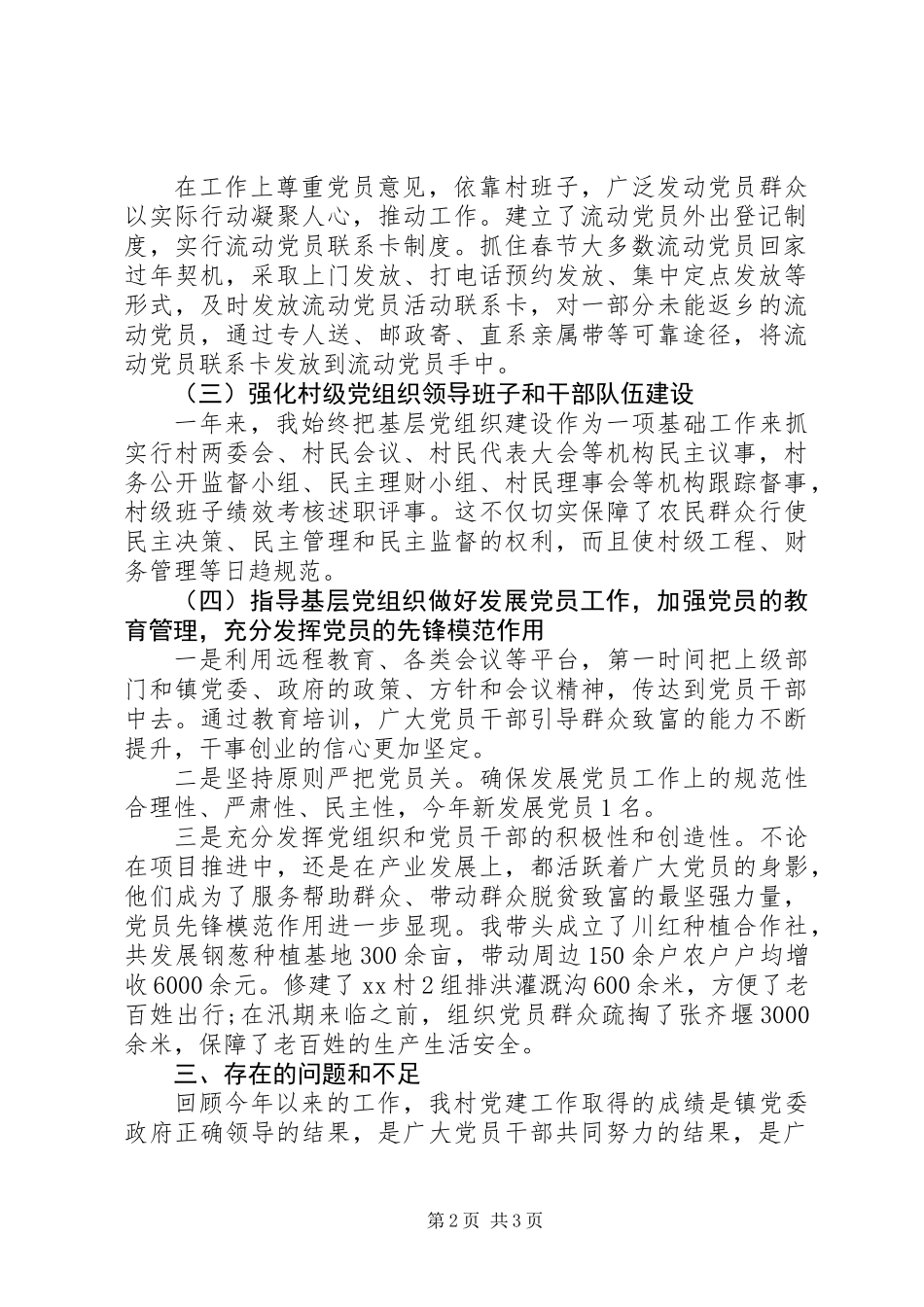 乡村党支部书记党建工作述职报告20XX年范文_第2页