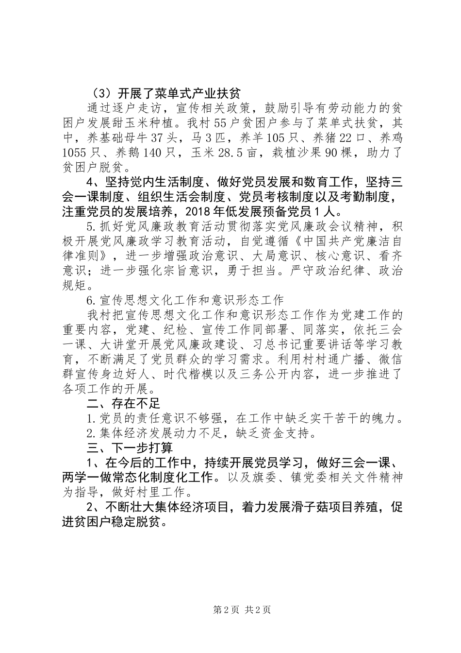 乡村XX年度党建工作总结_第2页
