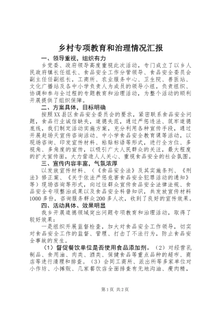 乡村专项教育和治理情况汇报