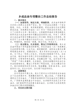 乡成品油专项整治工作总结报告