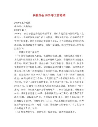 乡委员会2024年工作总结 