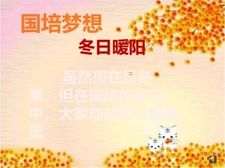 国培梦想（冬日暖阳）田萍