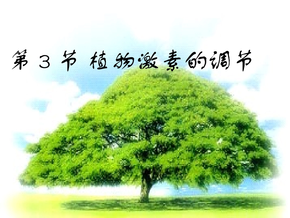 植物生长素的调节_第1页