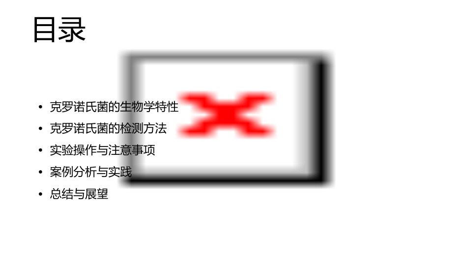 克罗诺氏菌检测-甘辛课件_第2页