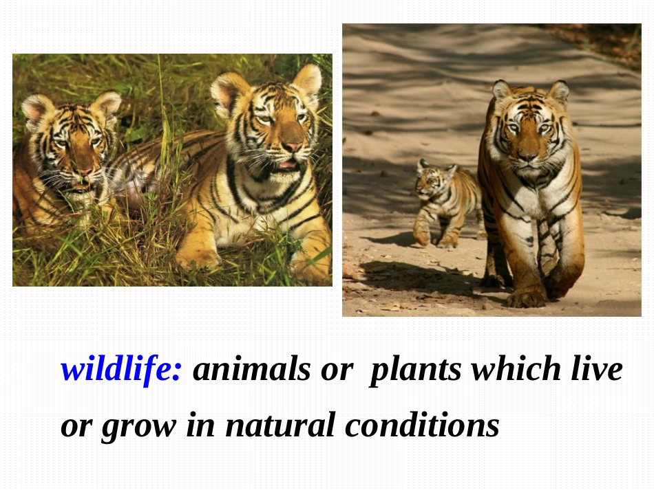 高中英语人教新课标版必修二第四单元Reading_第2页