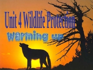 高中英语人教新课标版必修二第四单元Reading