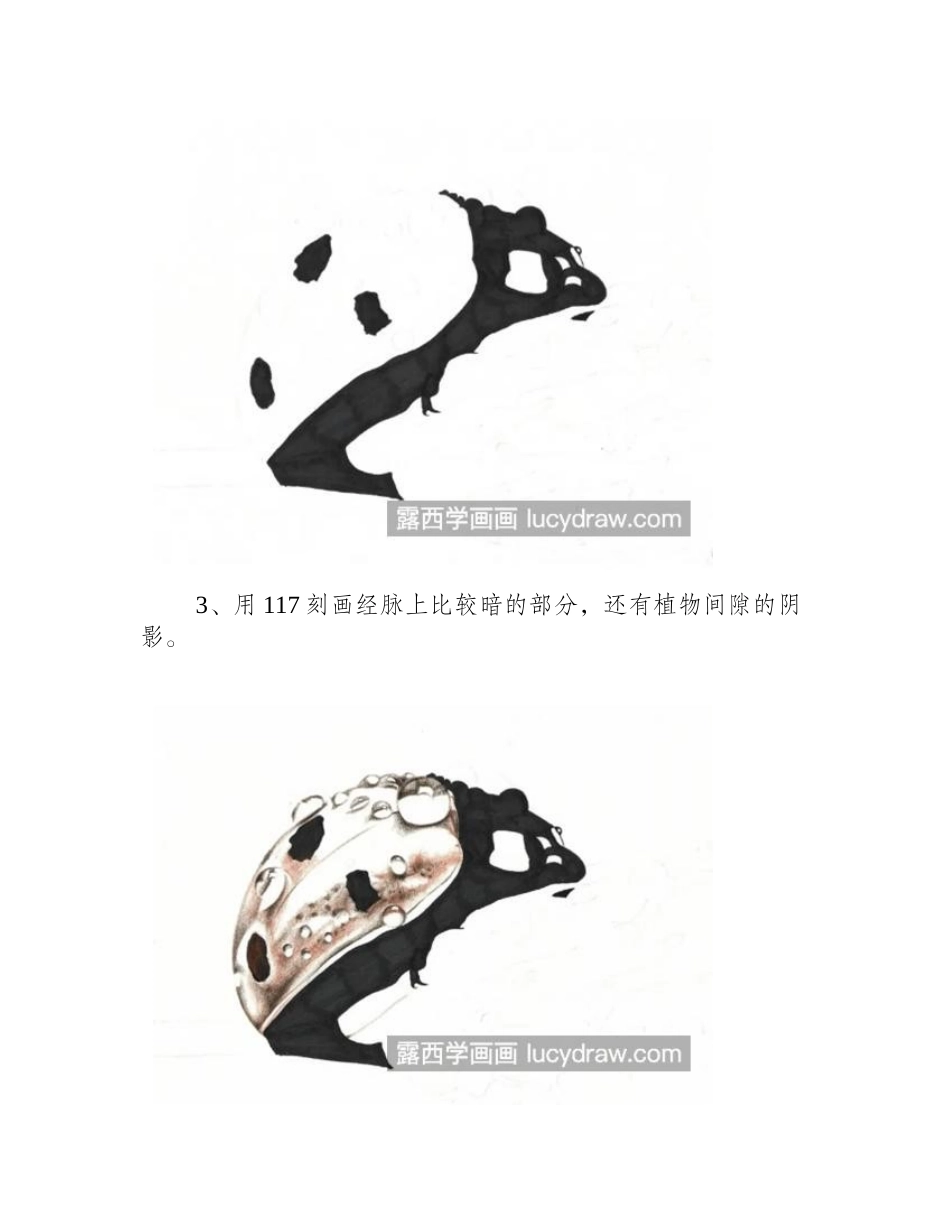 瓢虫怎么画_详细的彩铅教程讲解彩铅画教程_第2页