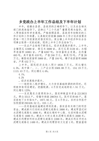 乡党政办上半年工作总结及下半年计划