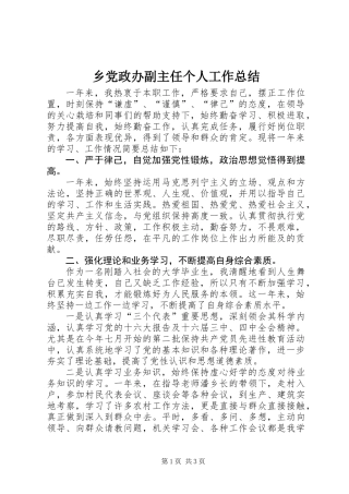 乡党政办副主任个人工作总结