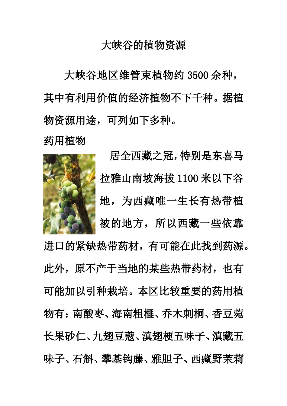 大峡谷的植物资源_第1页