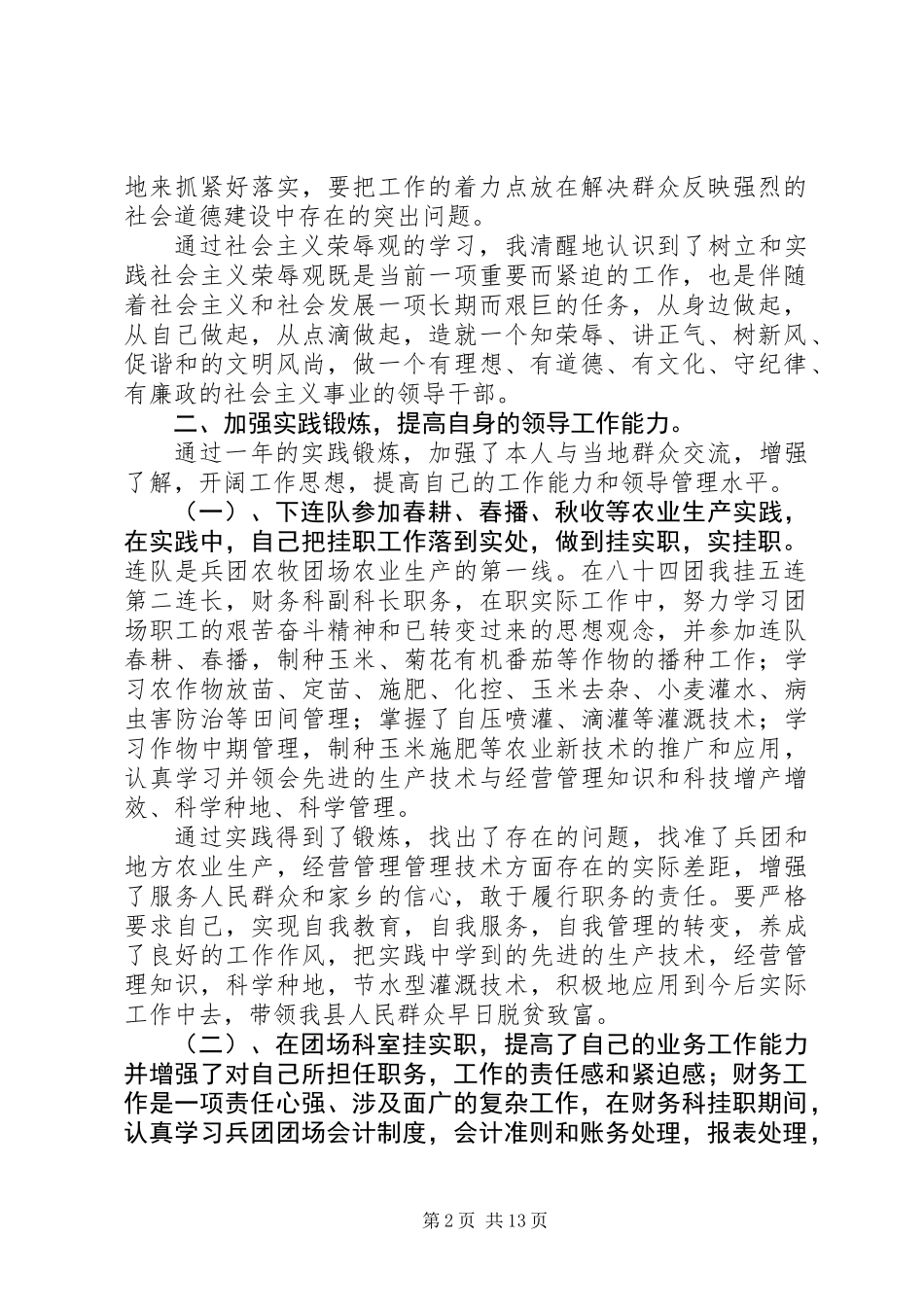 乡党委副书记XX年度挂职个人工作总结_第2页
