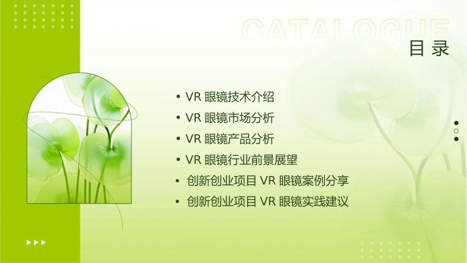 创新创业项目VR眼镜概述课件_第2页