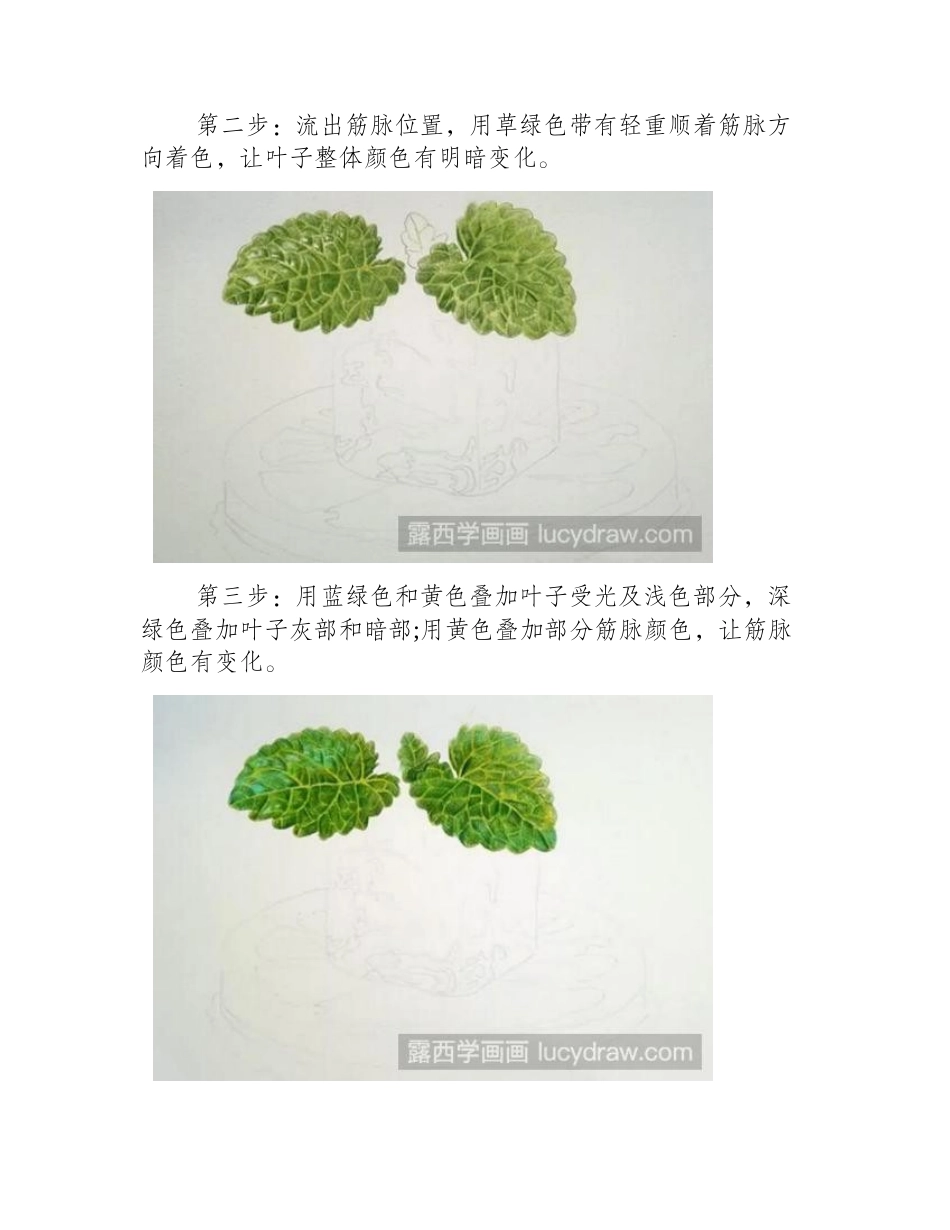 柠檬冰块彩铅画教程彩铅画教程1_第2页