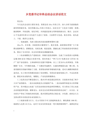 乡党委书记年终总结会议讲话范文 