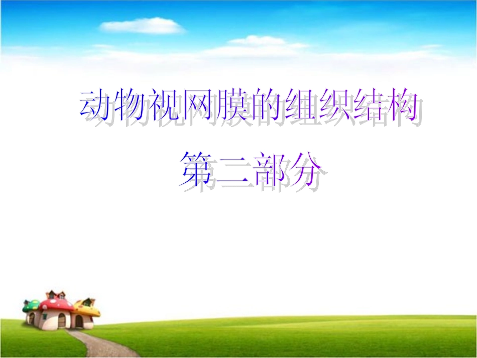 动物视网膜的组织结构第二部分_第1页