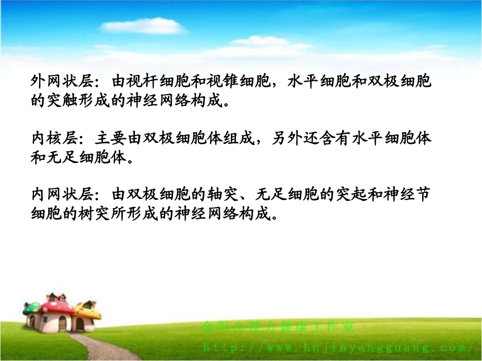 动物视网膜的组织结构第二部分_第2页