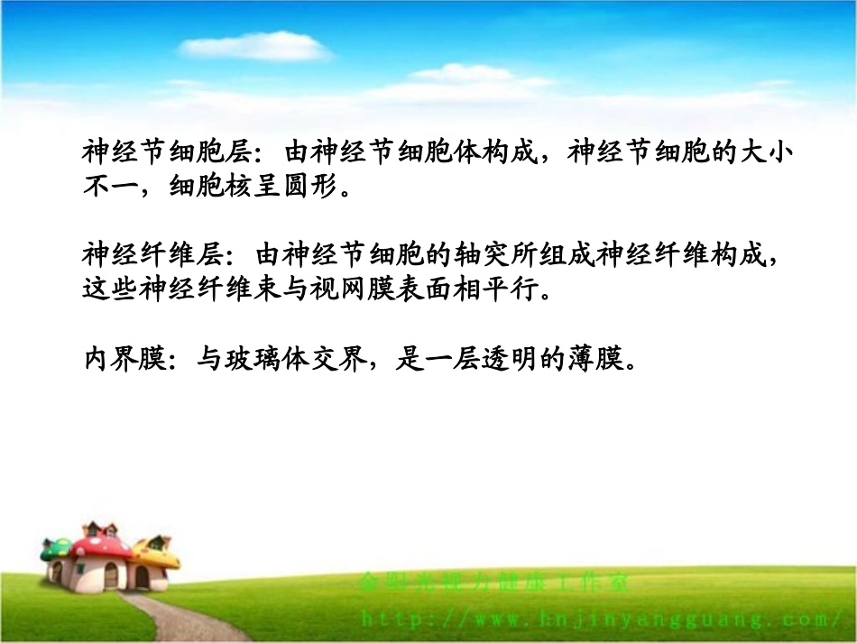 动物视网膜的组织结构第二部分_第3页