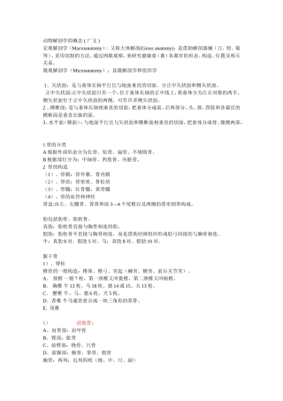 动物解剖学的概念