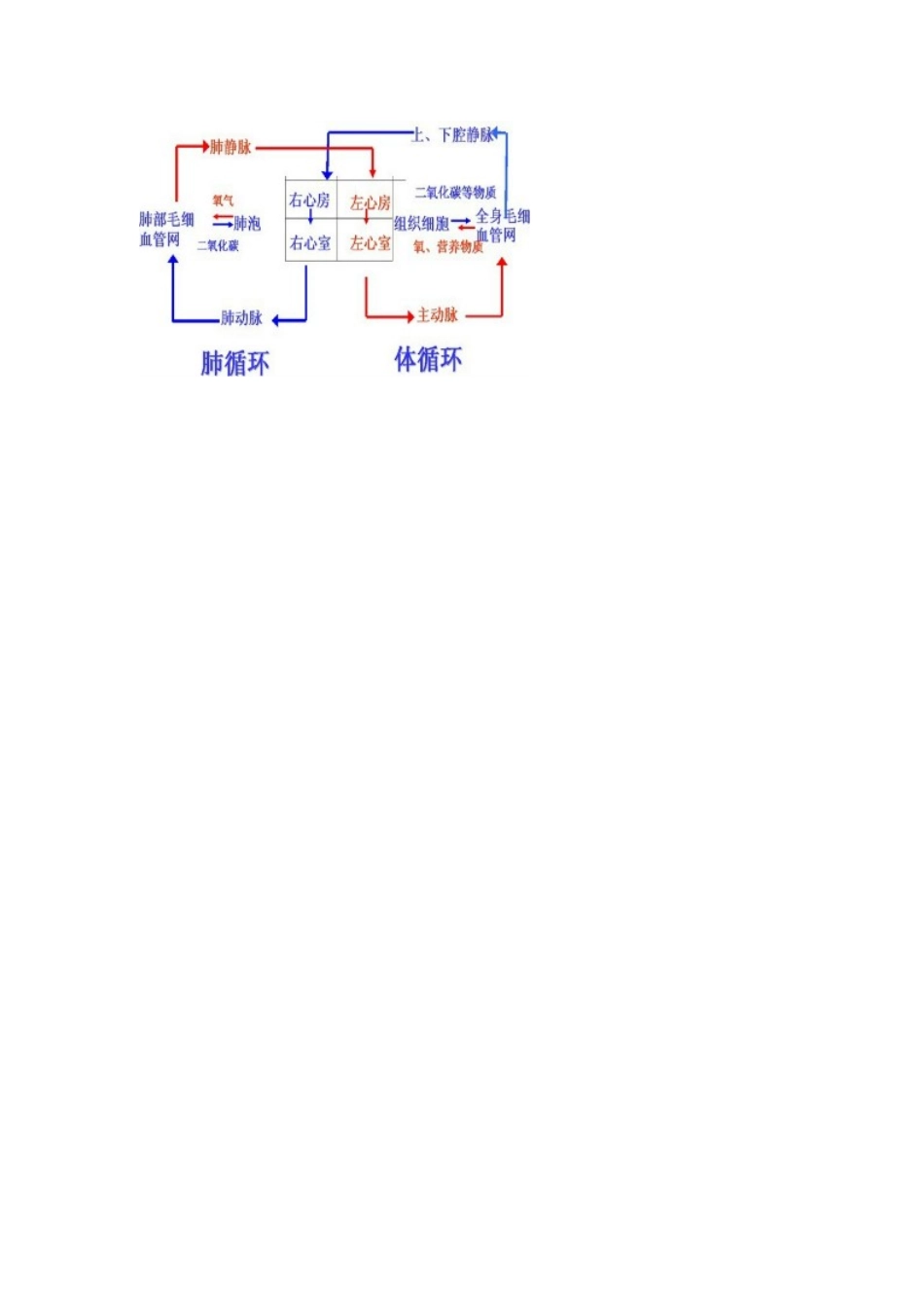 动脉导管未闭_第2页