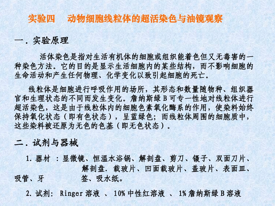 动物线粒体观察_第1页