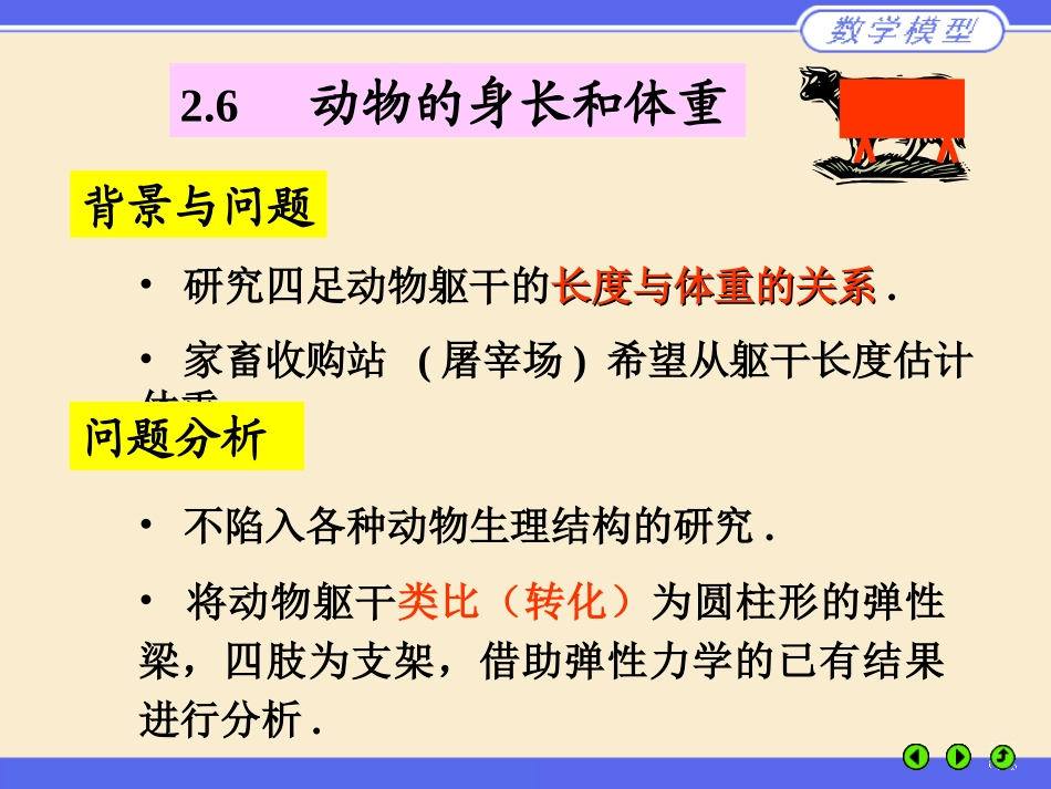 动物的身长和体重_第1页