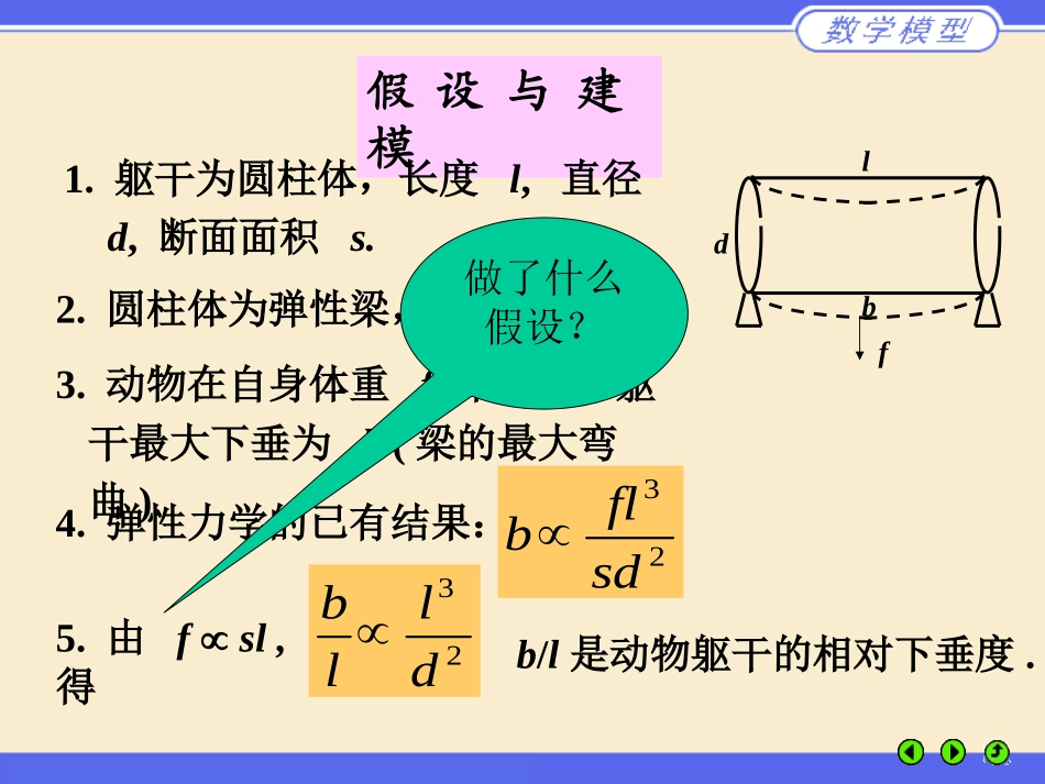 动物的身长和体重_第2页