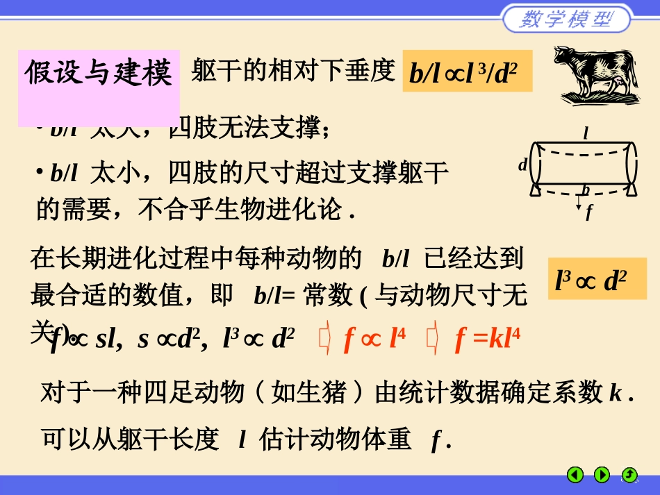 动物的身长和体重_第3页