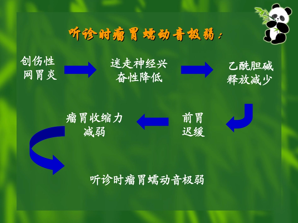动物病理生理学课堂讨论_第3页