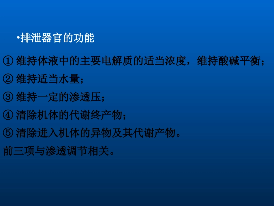 动物生理学第十章 肾与排泄_第2页